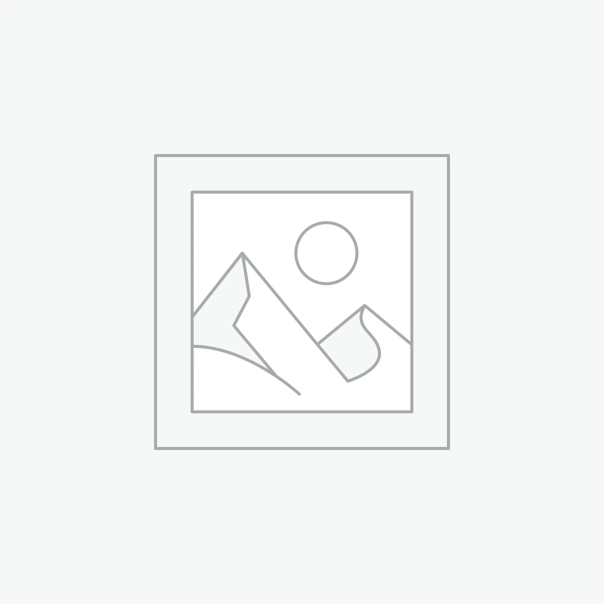 Air Guns & Accessories